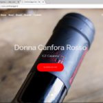 Web Site