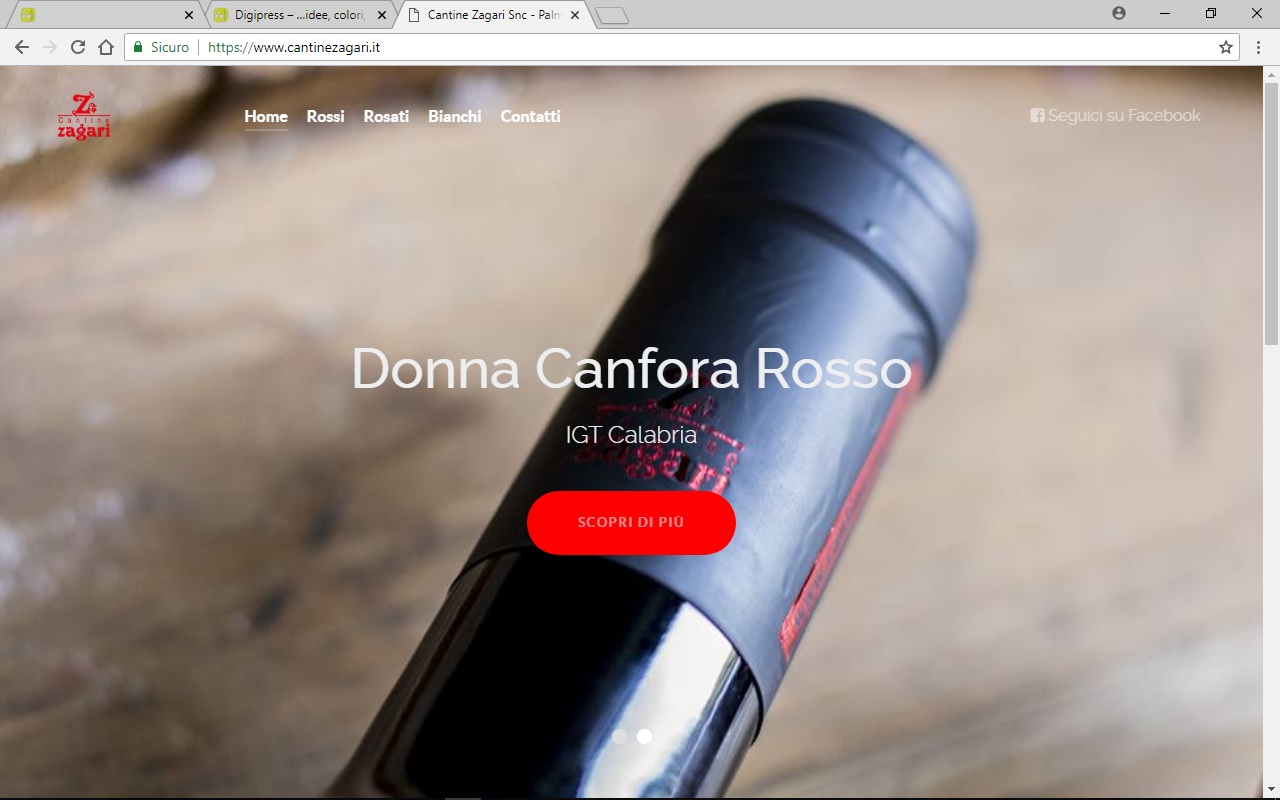 Web Site
